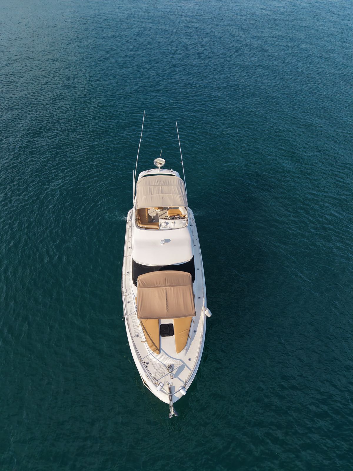 🛥️ Marca Sea Ray "Nautilus" 👥 Capacidad: 15 personas - Image 8