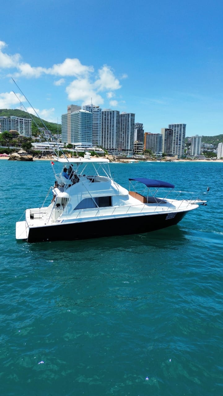 🛥️ Marca Trojan 